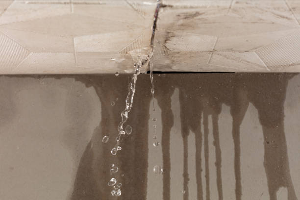 Professional Sewage Cleanup technician working in Mendon, UT